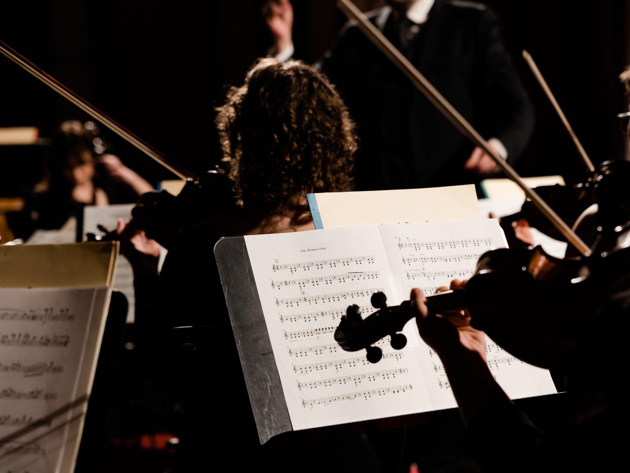 Classics of Austria + Johann Strauss Museum