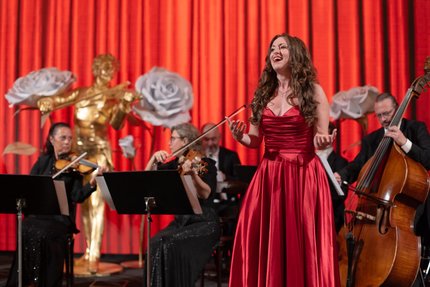 Classics of Austria + Johann Strauss Museum