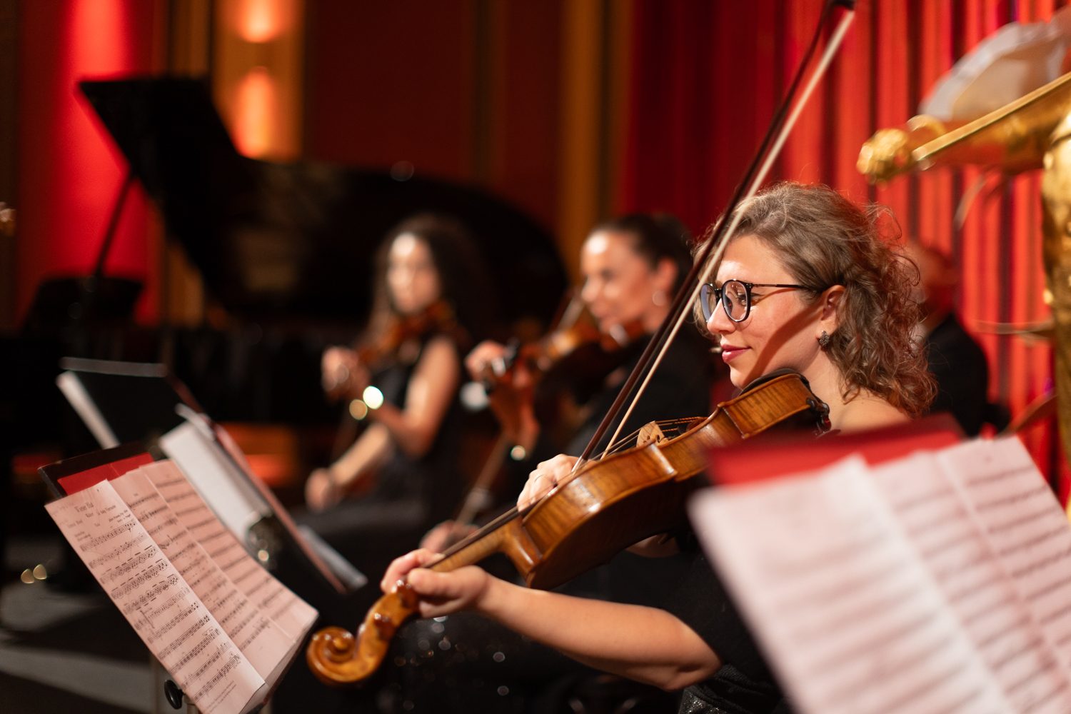 Classics of Austria + Johann Strauss Museum